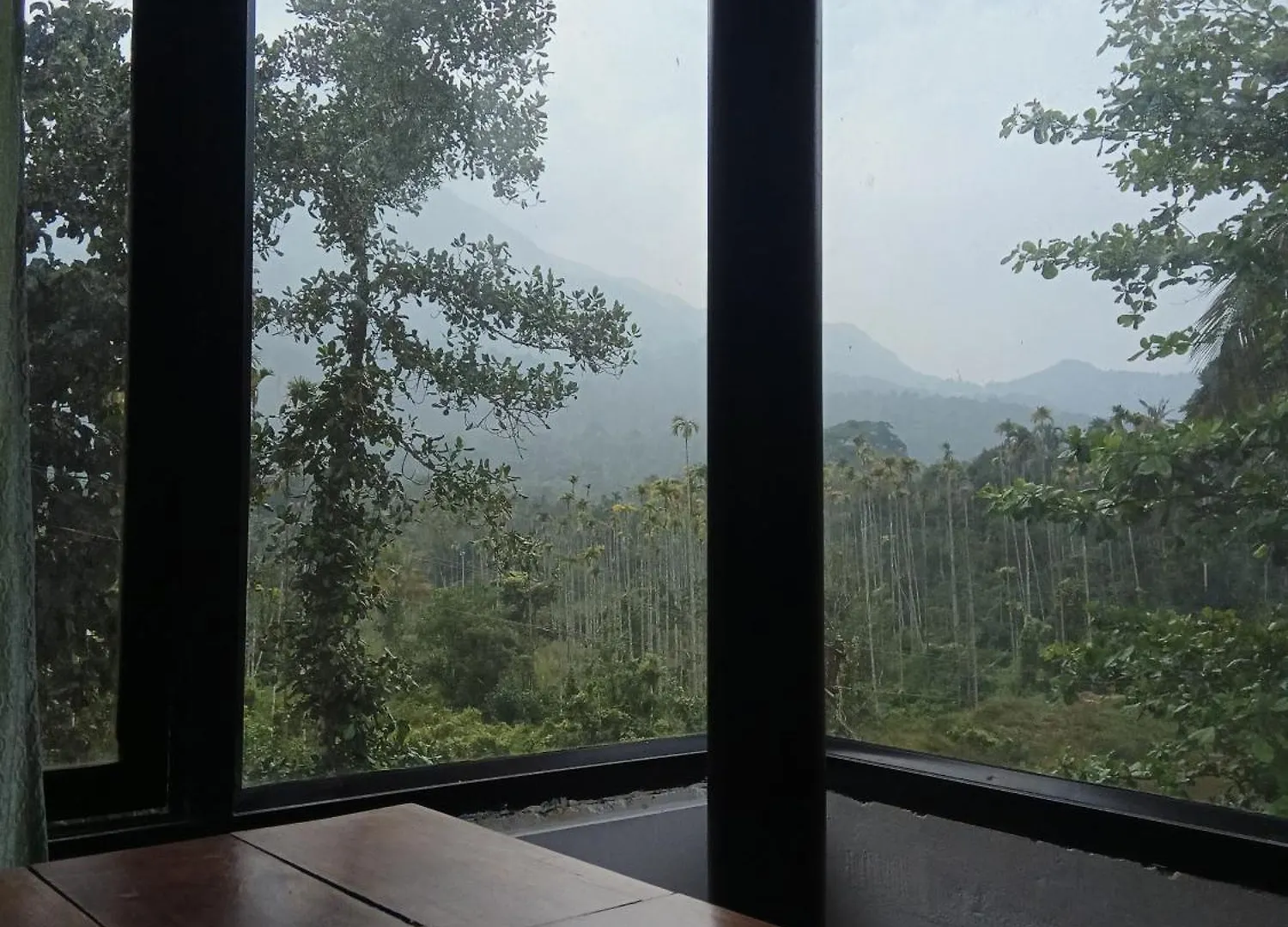 Meppādi Jungle Valley Ayurvedic Spa Resort מלון