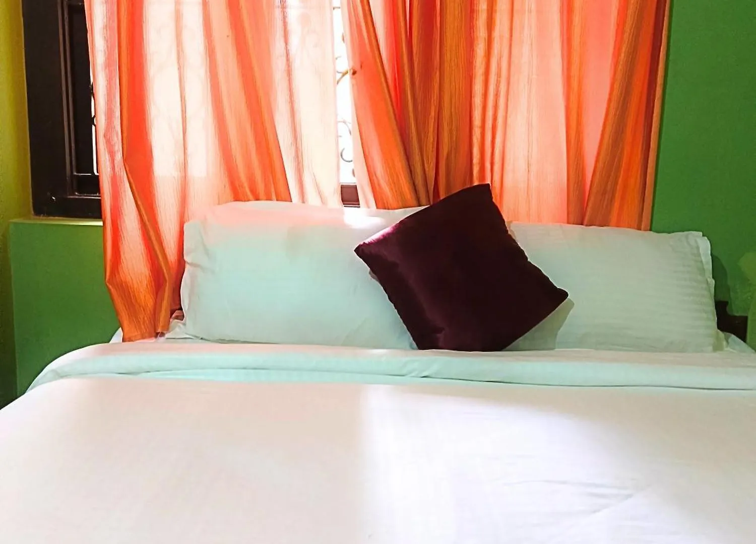 Meppādi Jungle Valley Ayurvedic Spa Resort הודו
