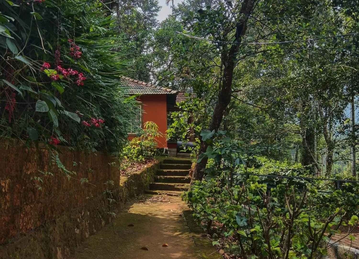 Meppādi Jungle Valley Ayurvedic Spa Resort מלון