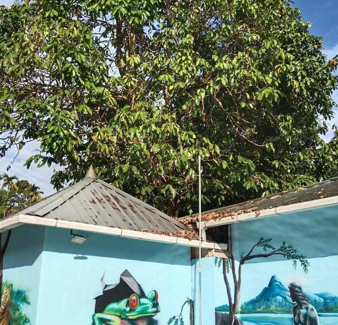 Meppādi Jungle Valley Ayurvedic Spa Resort מלון