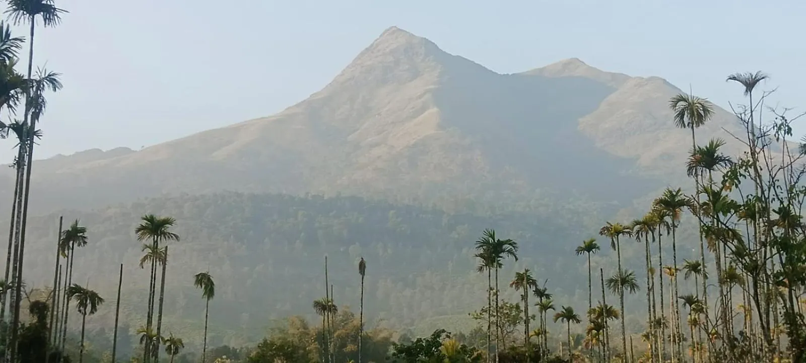 Meppādi Jungle Valley Ayurvedic Spa Resort הודו
